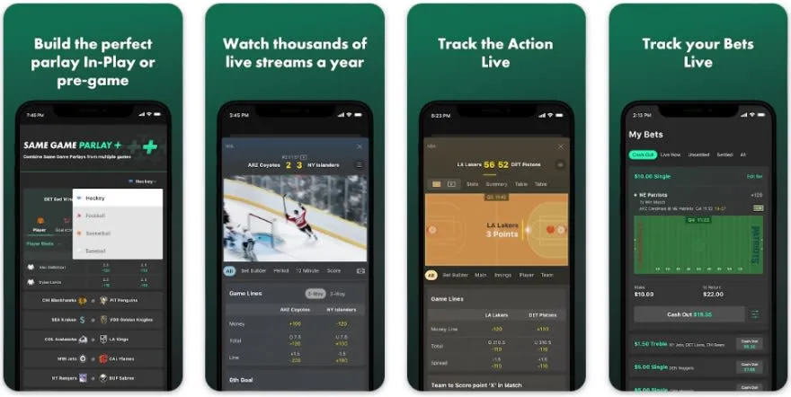 体育博彩APP使用指南